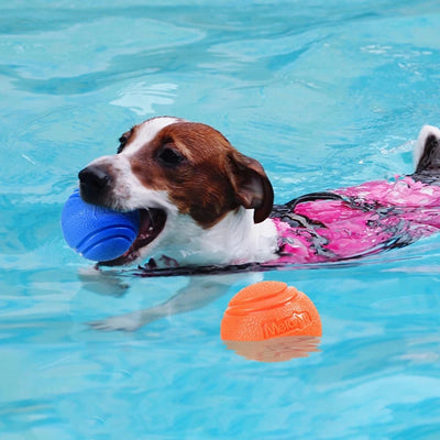 BounceBuddy - Durable Dog Ball