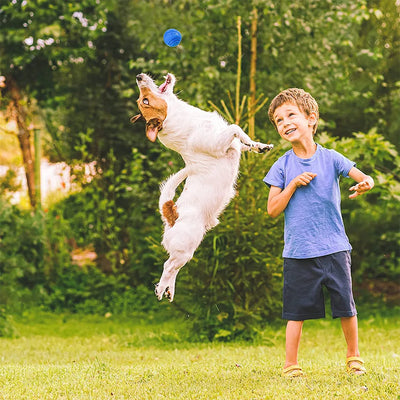 BounceBuddy - Durable Dog Ball