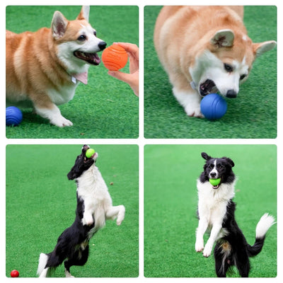 BounceBuddy - Durable Dog Ball