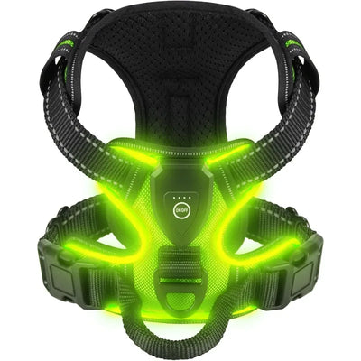 GlowSafe LED Dog Harness