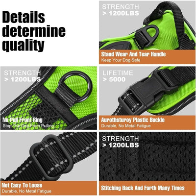 GlowSafe LED Dog Harness