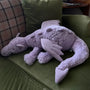 Dexter Dino - Plush Pet Toy