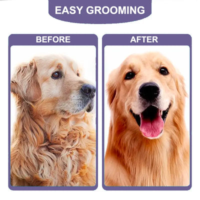 PetCare Grooming Brush