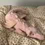 Dexter Dino - Plush Pet Toy